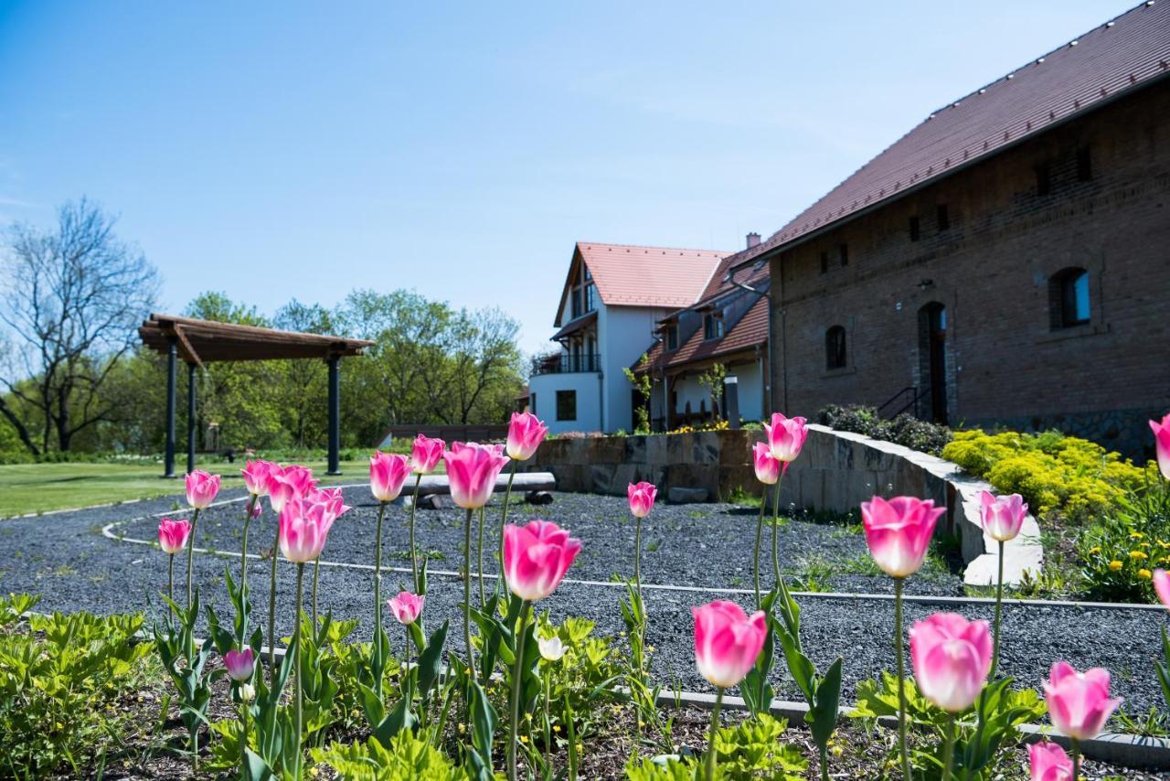 Dvur Perlova Voda Budyne nad Ohri Kültér fotó